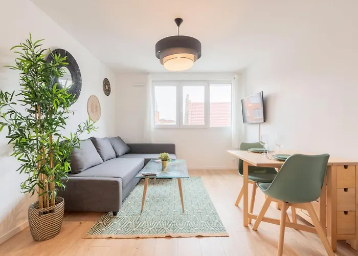 Lille, Fully-equipped With Parking Space Apartment Lille