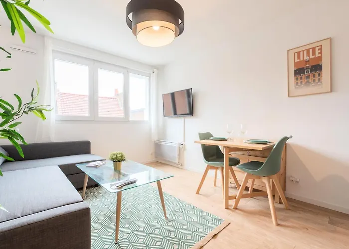 Lille, Fully-equipped With Parking Space *