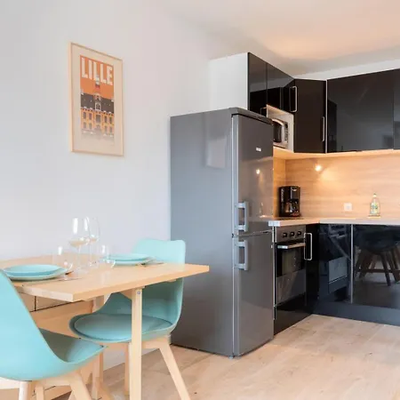 Appartement Lille, Fully-equipped With Parking Space